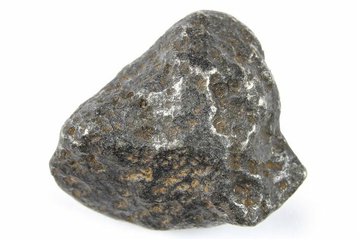 Gebel Kamil Iron Meteorite ( g) - Egypt #265404